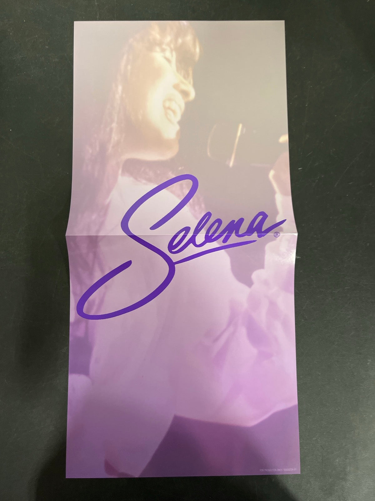 MISC_3 - Selena - Ones Greatest Hits LE Picture Disc Vinyl USED NOT TESTED