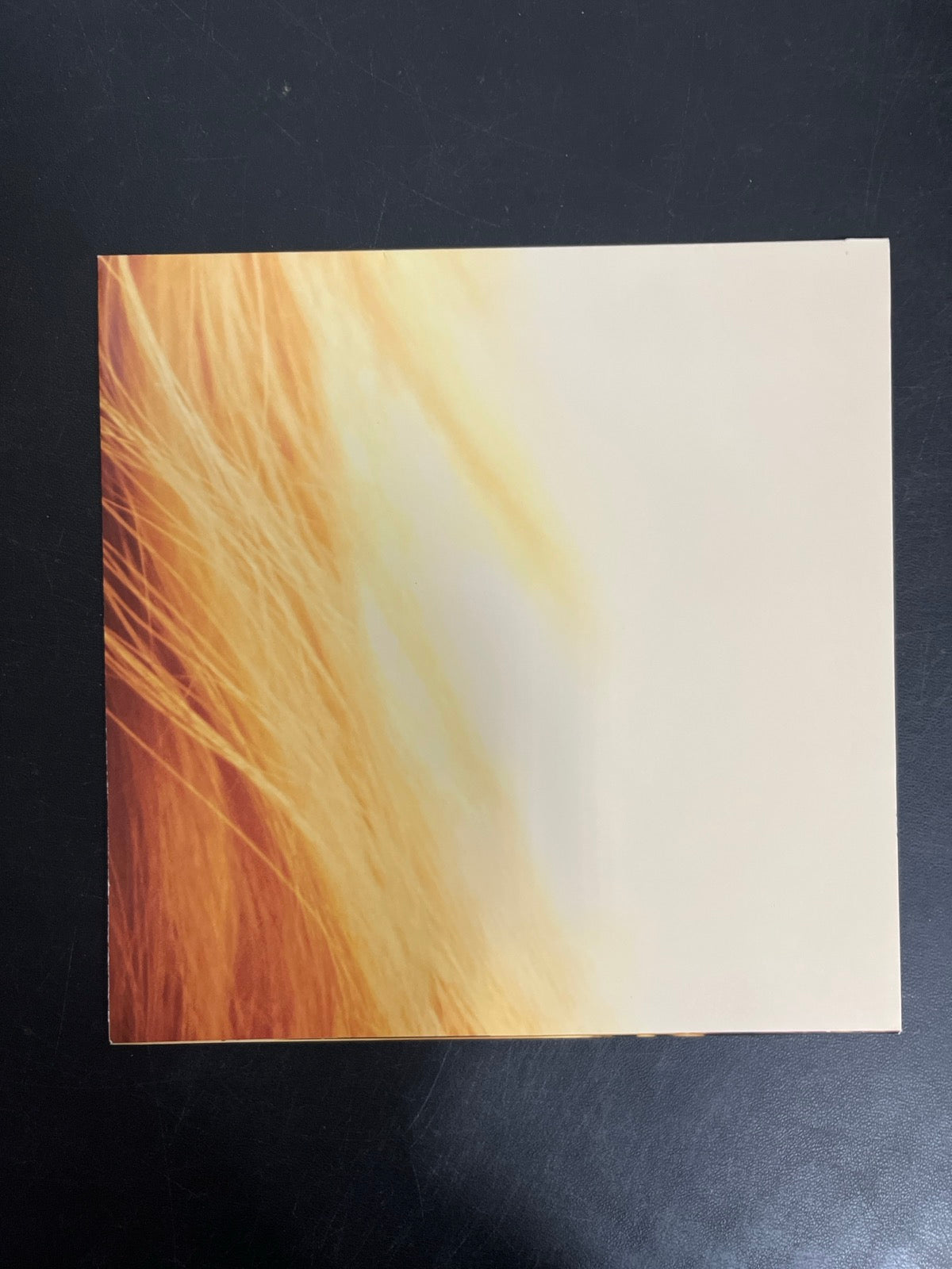 MISC_4 - Taylor Swift - The Life of a ... LE 180gm Pink Yellow Vinyl USED NOT TESTED