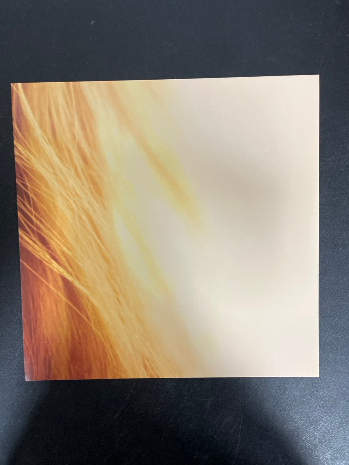 MISC_4 - Taylor Swift - The Life of a ... LE 180gm Pink Yellow Vinyl USED NOT TESTED