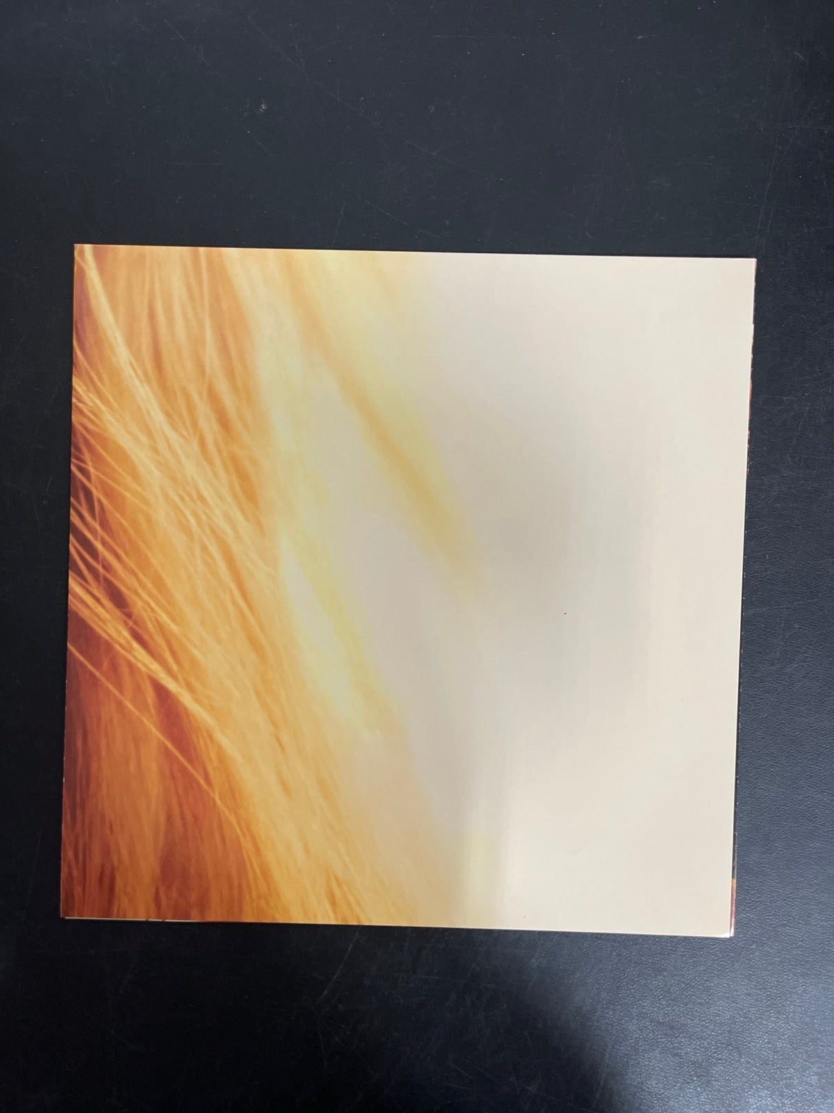 MISC_4 - Taylor Swift - The Life of a ... LE 180gm Pink Yellow Vinyl USED NOT TESTED