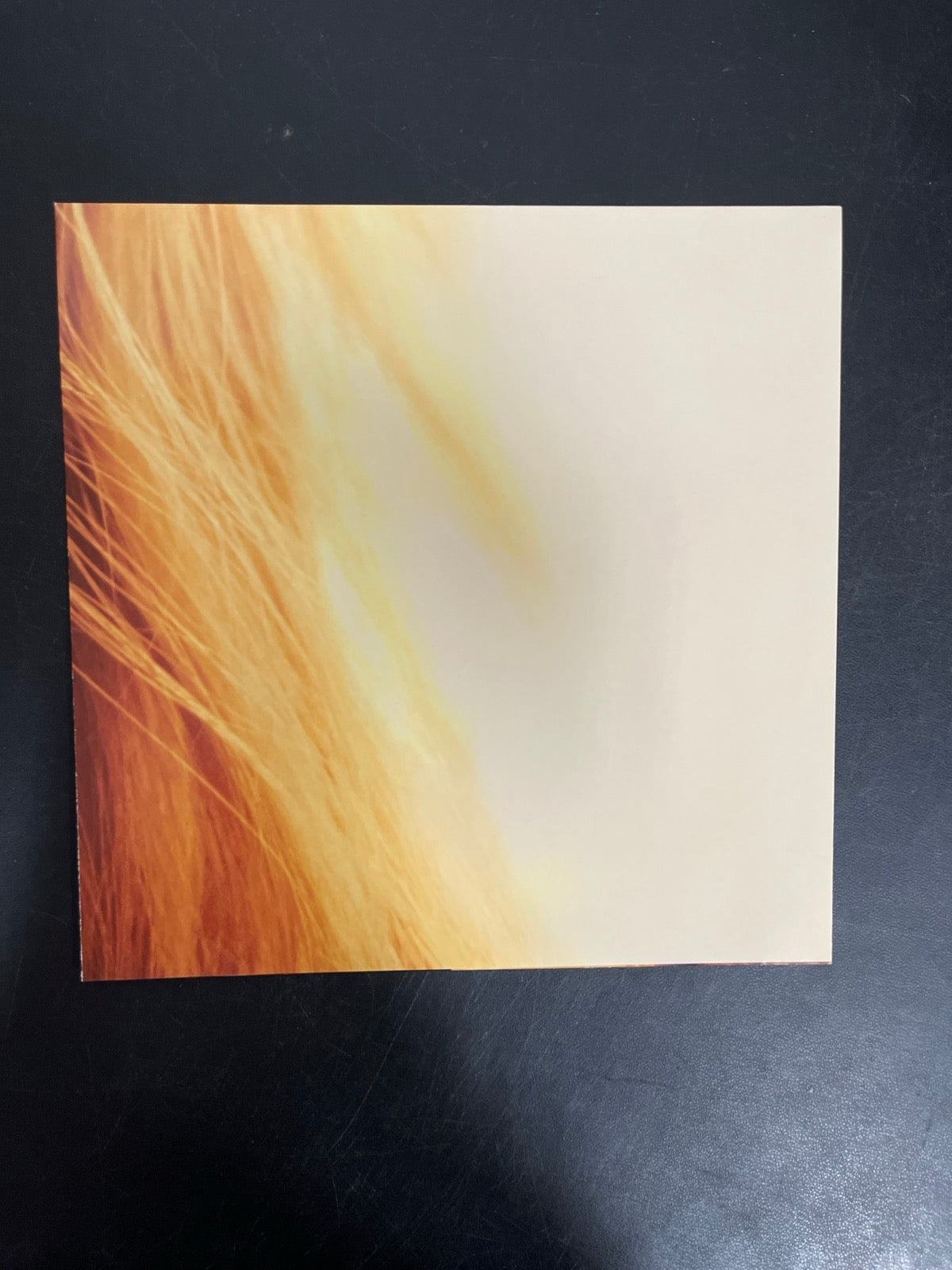 MISC_4 - Taylor Swift - The Life of a ... LE 180gm Pink Yellow Vinyl USED NOT TESTED