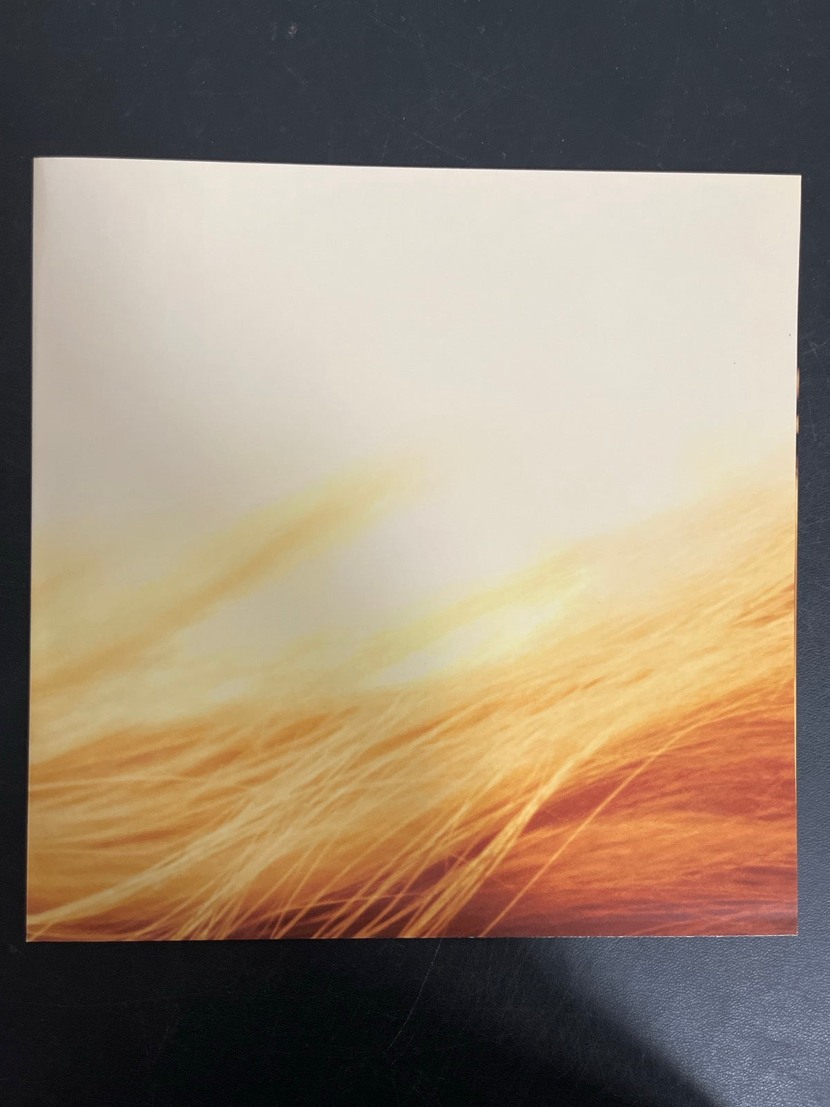 MISC_4 - Taylor Swift - The Life of a ... LE 180gm Pink Yellow Vinyl USED NOT TESTED