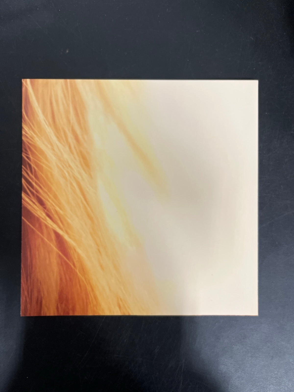 MISC_4 - Taylor Swift - The Life of a ... LE Pink Yellow Vinyl USED NOT TESTED