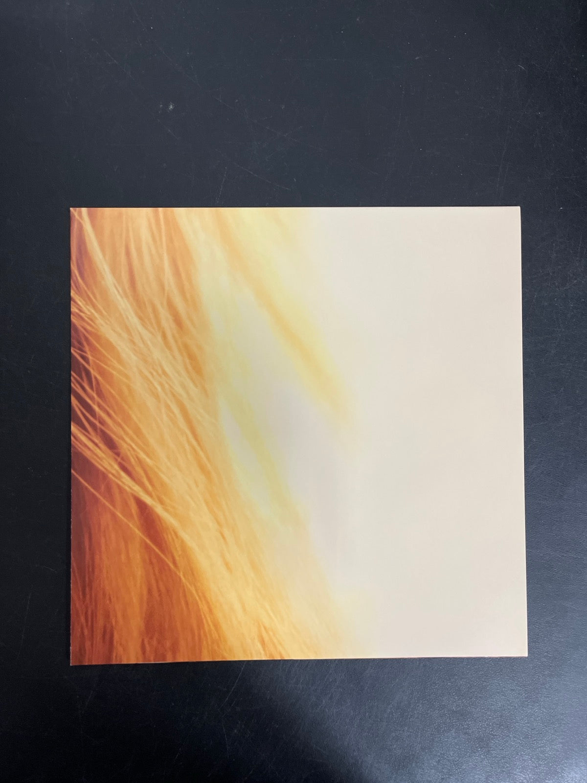 MISC_4 - Taylor Swift - The Life of a ... LE 180gm Pink Yellow Vinyl USED NOT TESTED