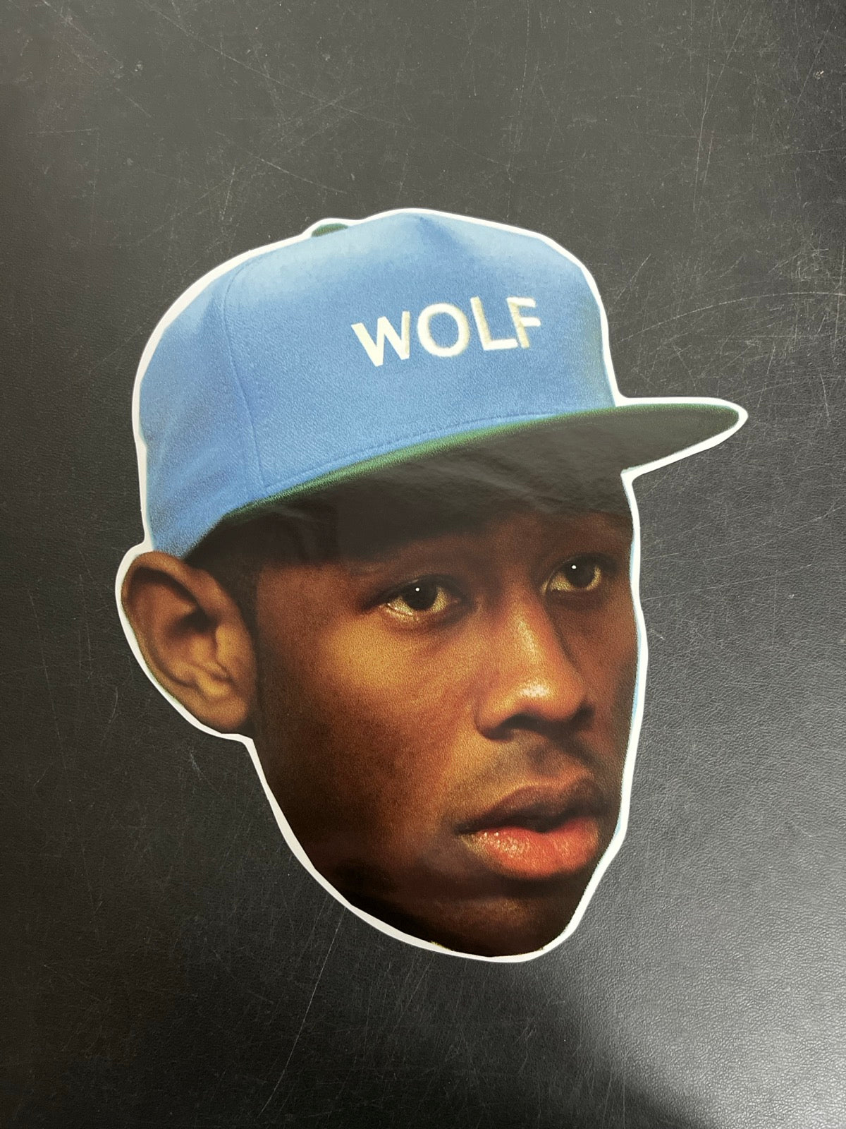 MISC_5 - Tyler, The Creator - Wolf LE Pink Vinyl USED NOT TESTED