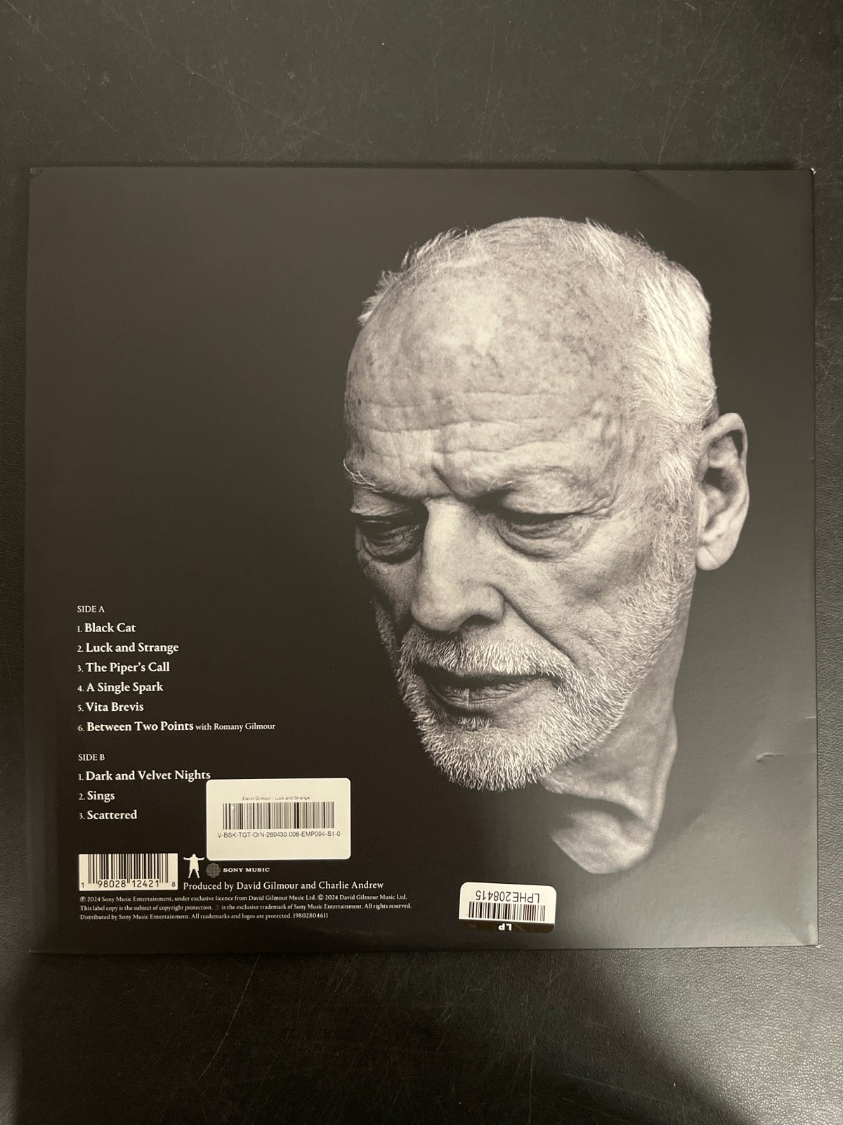 BACK - David Gilmour - Luck and S... Target Exclusive Blue Vinyl USED NOT TESTED