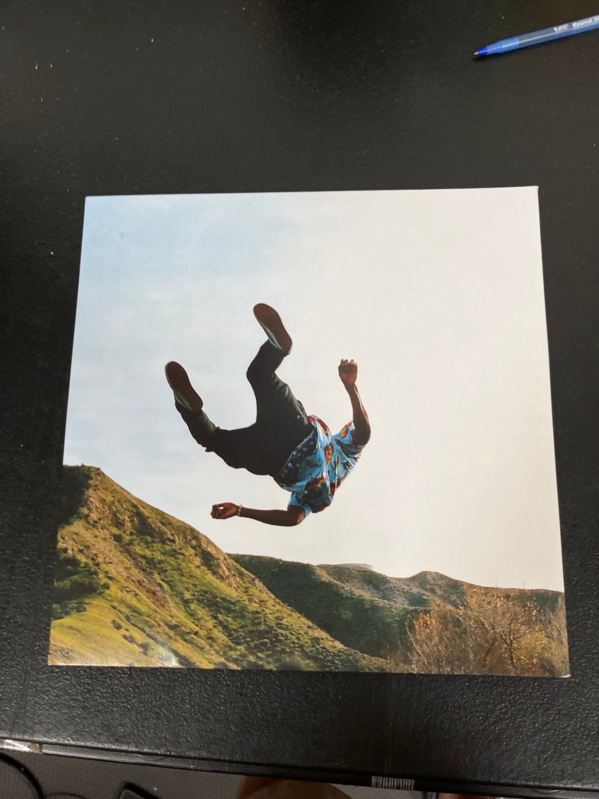 BACK - Tyler, The Creator - Wolf LE Pink Vinyl USED NOT TESTED