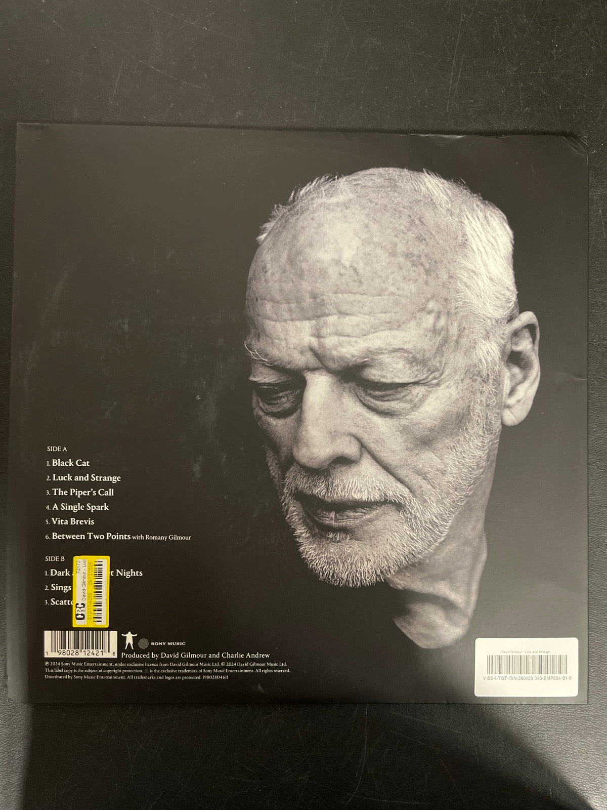 BACK - David Gilmour - Luck and S... Target Exclusive Blue Vinyl USED NOT TESTED