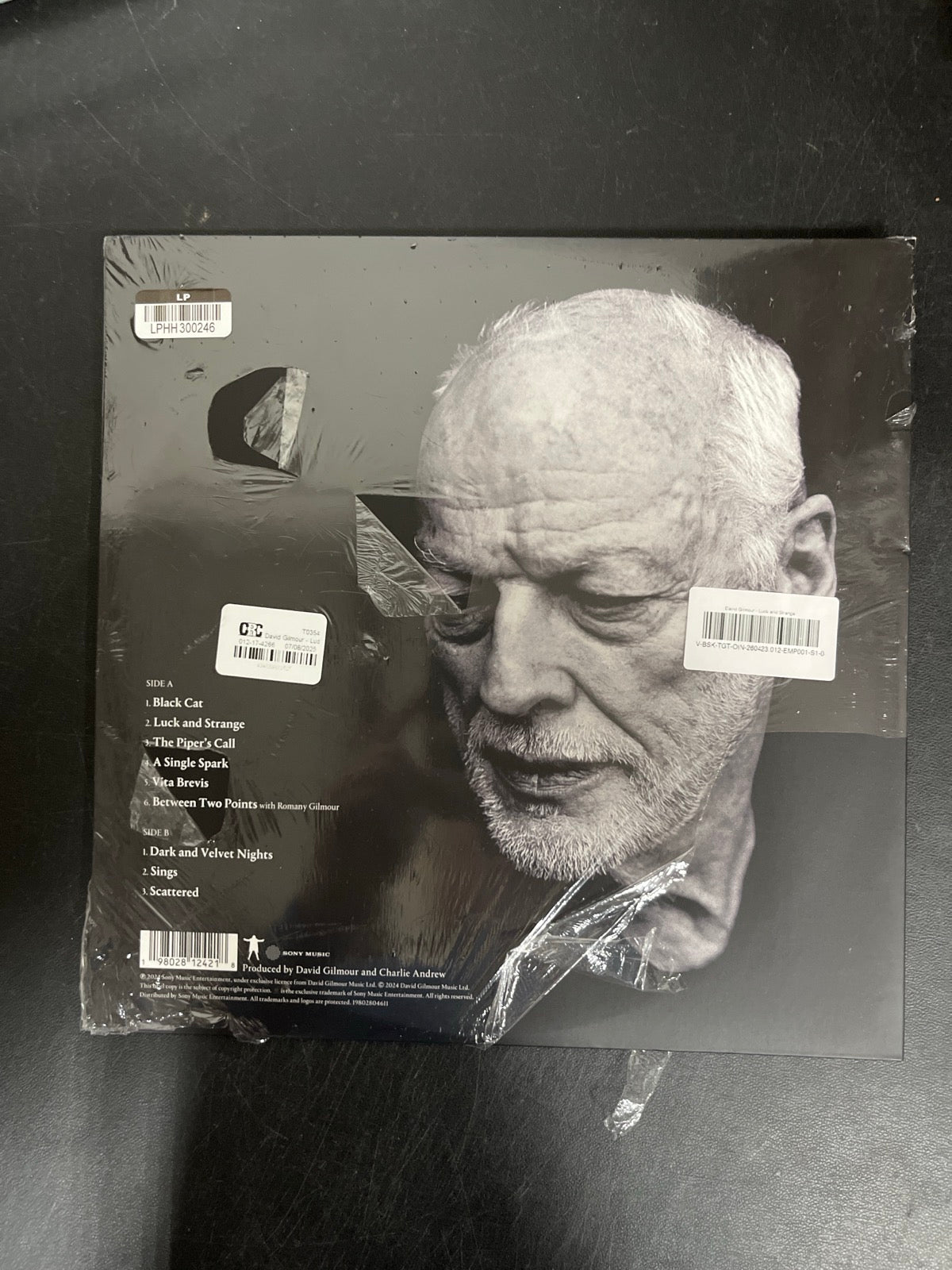 BACK - David Gilmour - Luck and S... Target Exclusive Blue Vinyl USED NOT TESTED