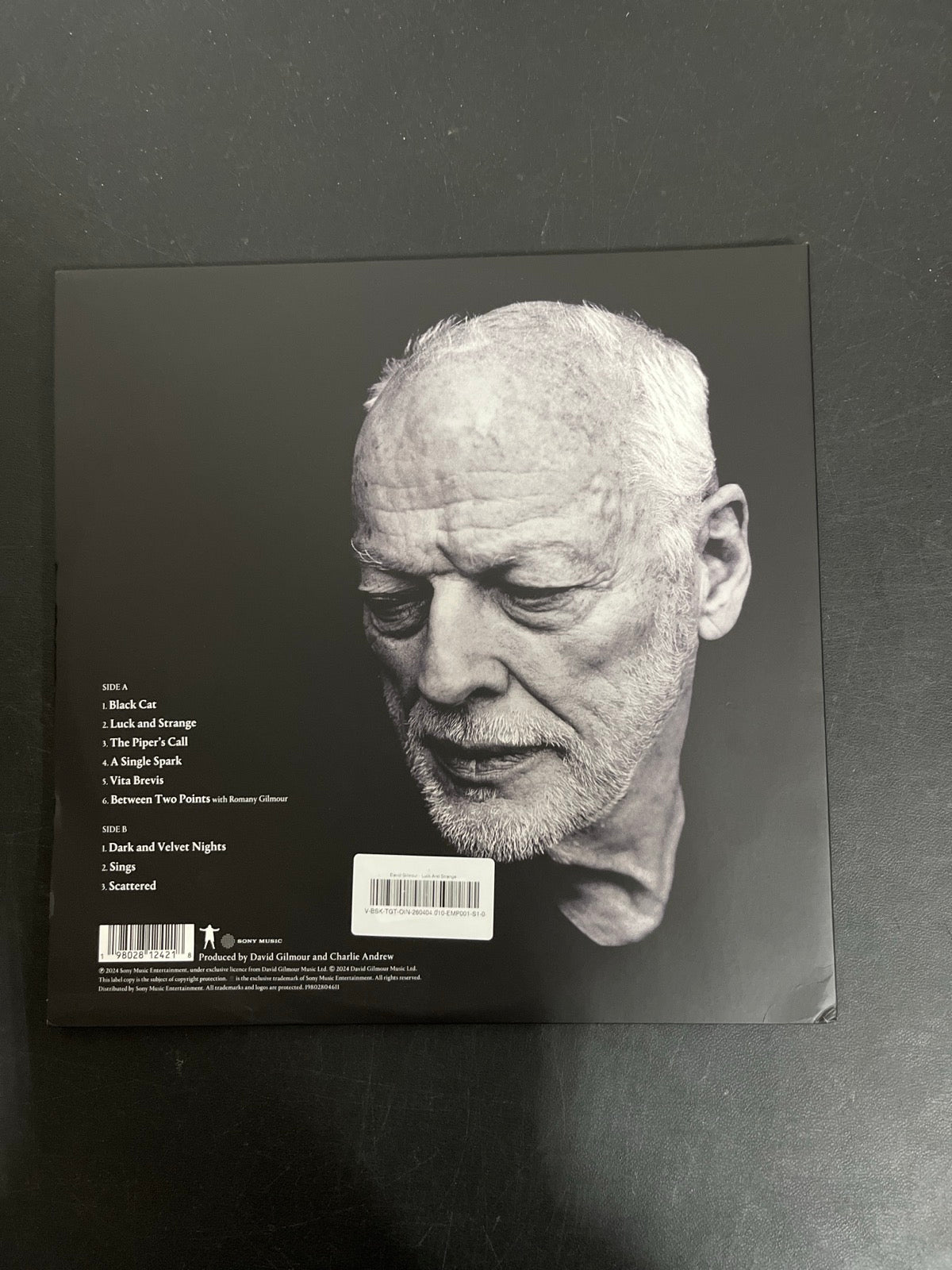 BACK - David Gilmour - Luck and S... Target Exclusive Blue Vinyl USED NOT TESTED