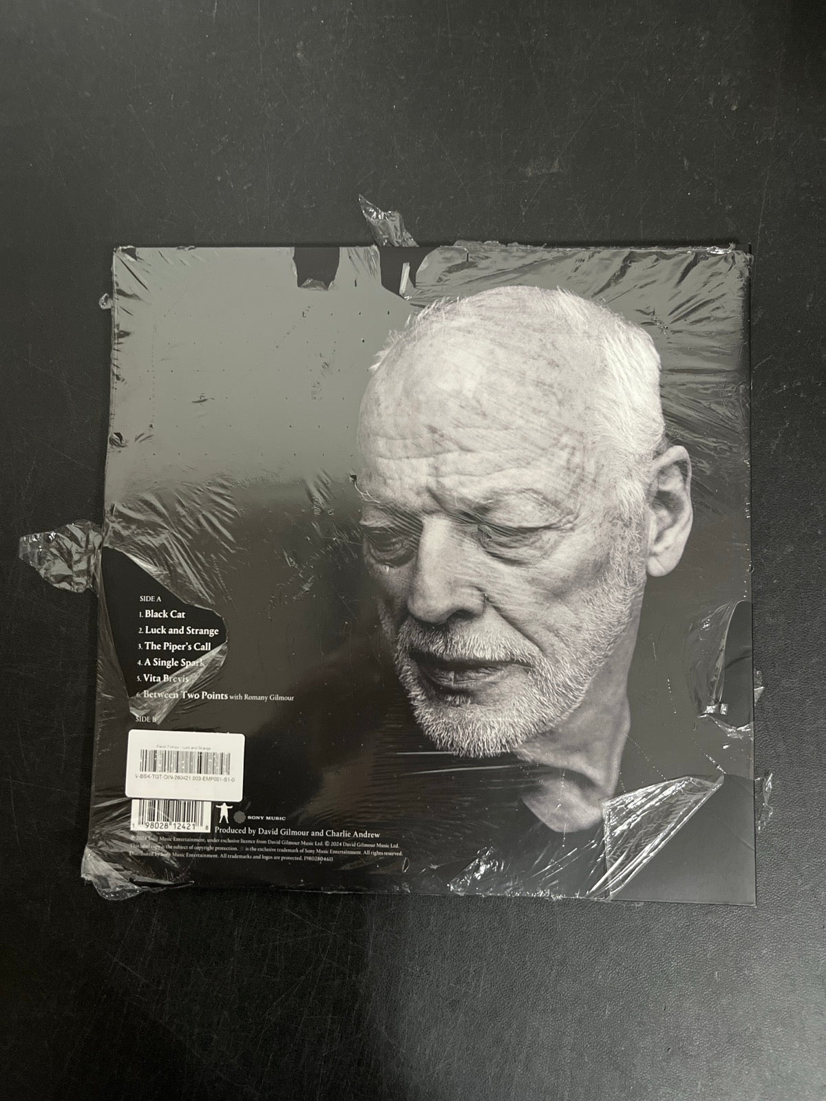 BACK - David Gilmour - Luck and S... Target Exclusive Blue Vinyl USED NOT TESTED