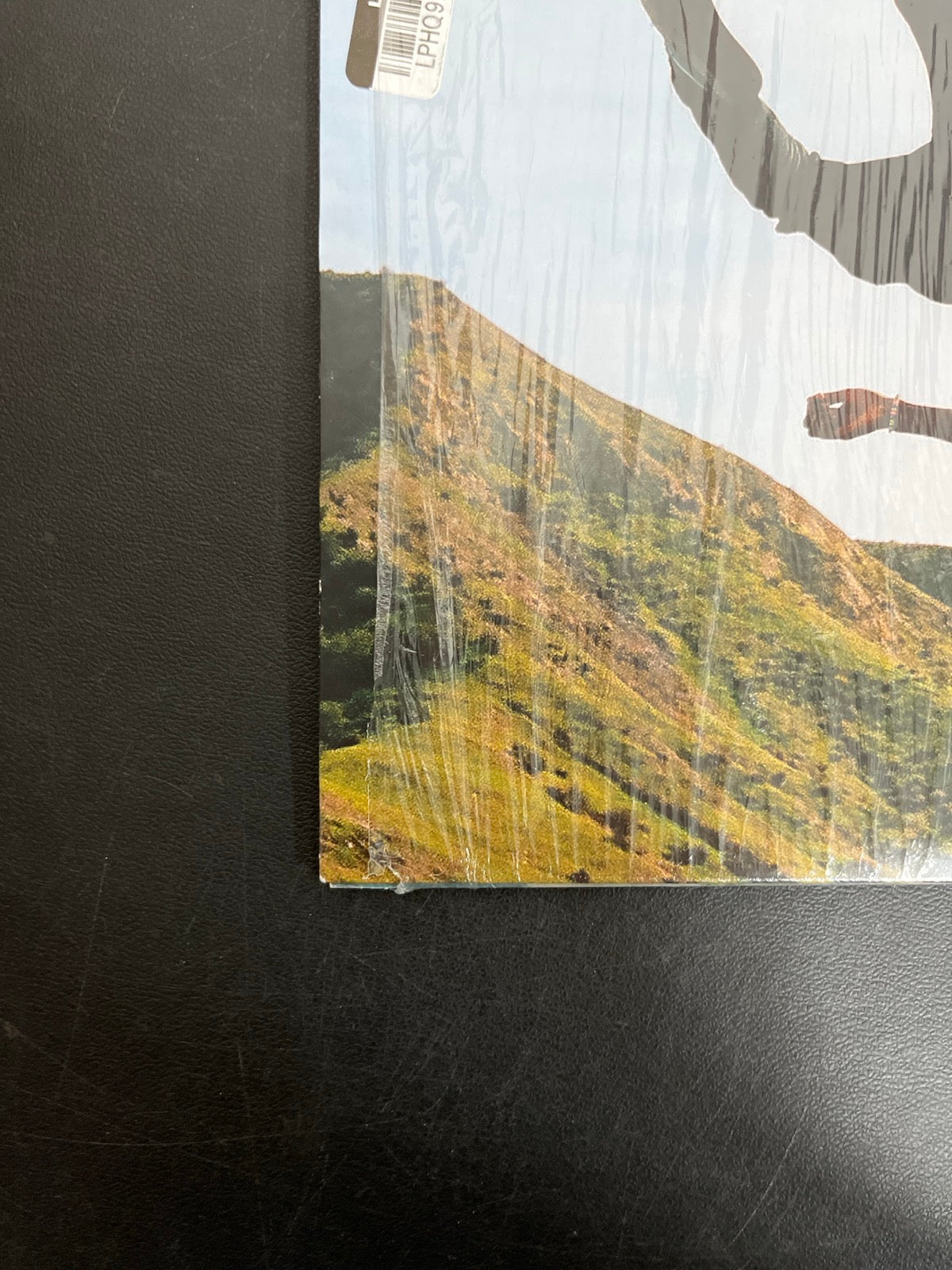 BACK_BL - Tyler, The Creator - Wolf LE Pink Vinyl USED NOT TESTED