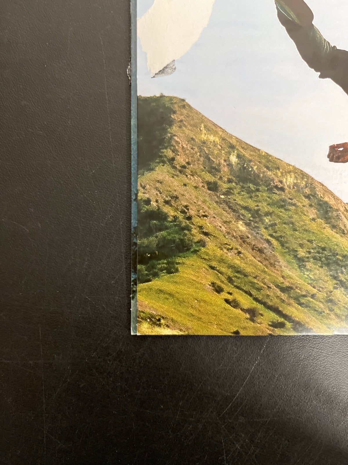 BACK_BL - Tyler, The Creator - Wolf LE Pink Vinyl USED NOT TESTED