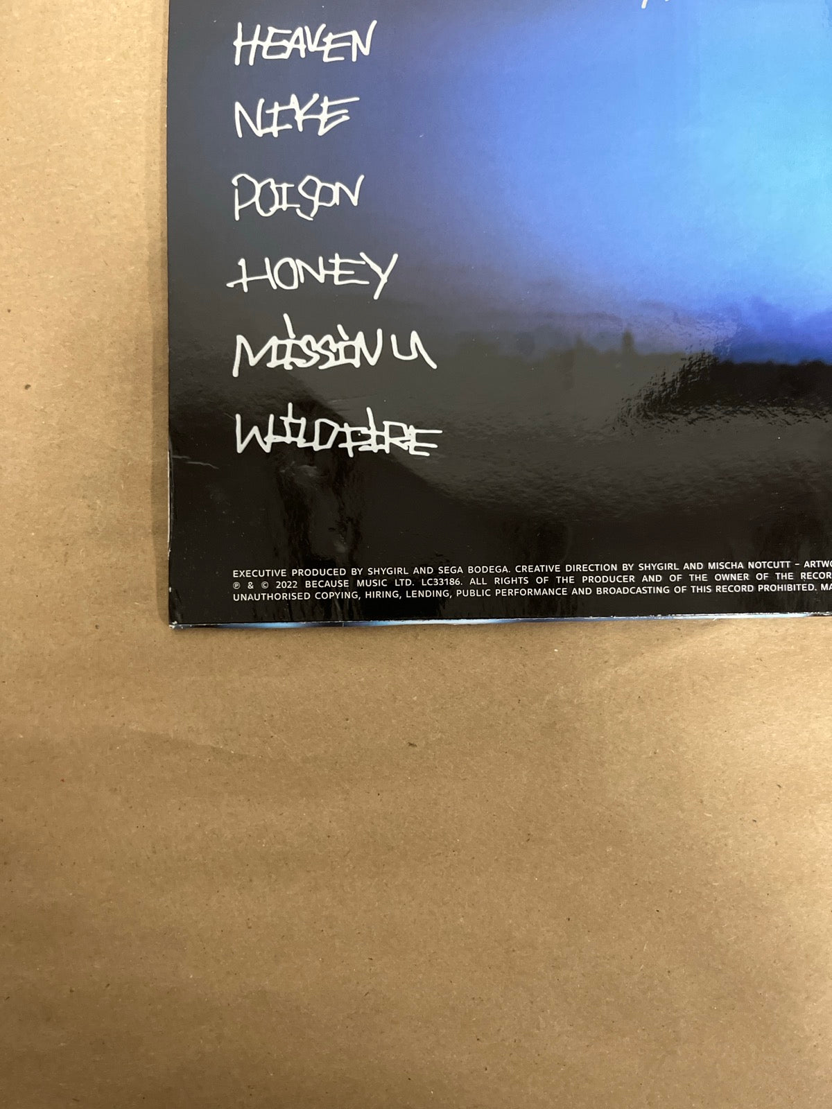 BACK_BL - Shygirl - Nymph LE Vinyl USED NOT TESTED