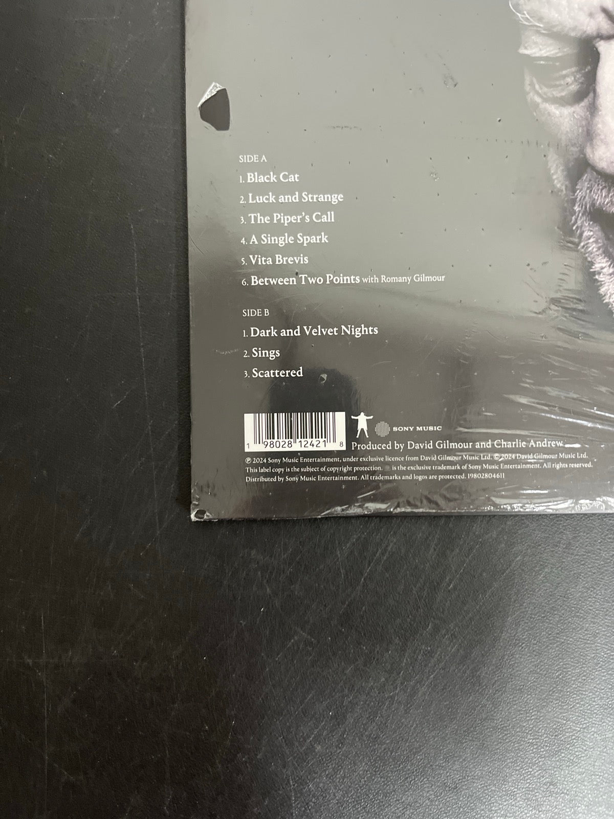 BACK_BL - David Gilmour - Luck and S... Target Exclusive Blue Vinyl USED NOT TESTED