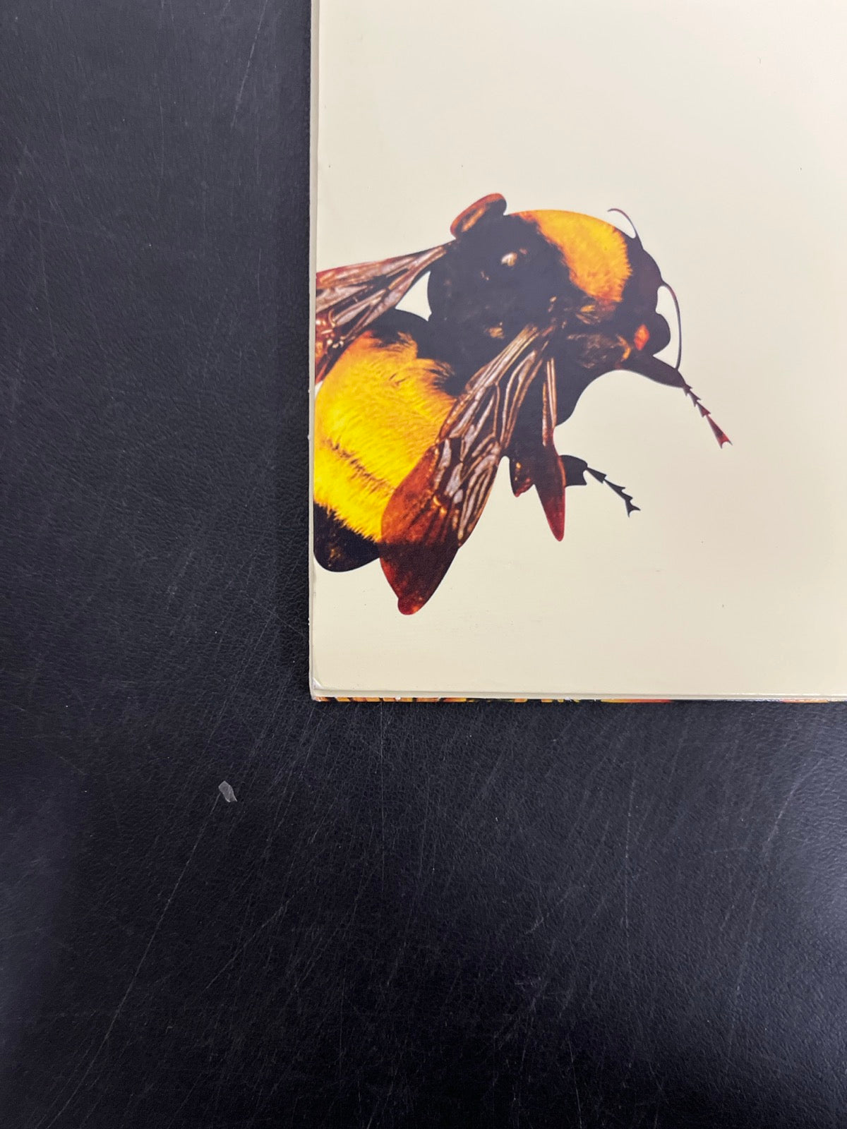 BACK_BL - Tyler, the Creator - Flower Boy LE Vinyl USED NOT TESTED