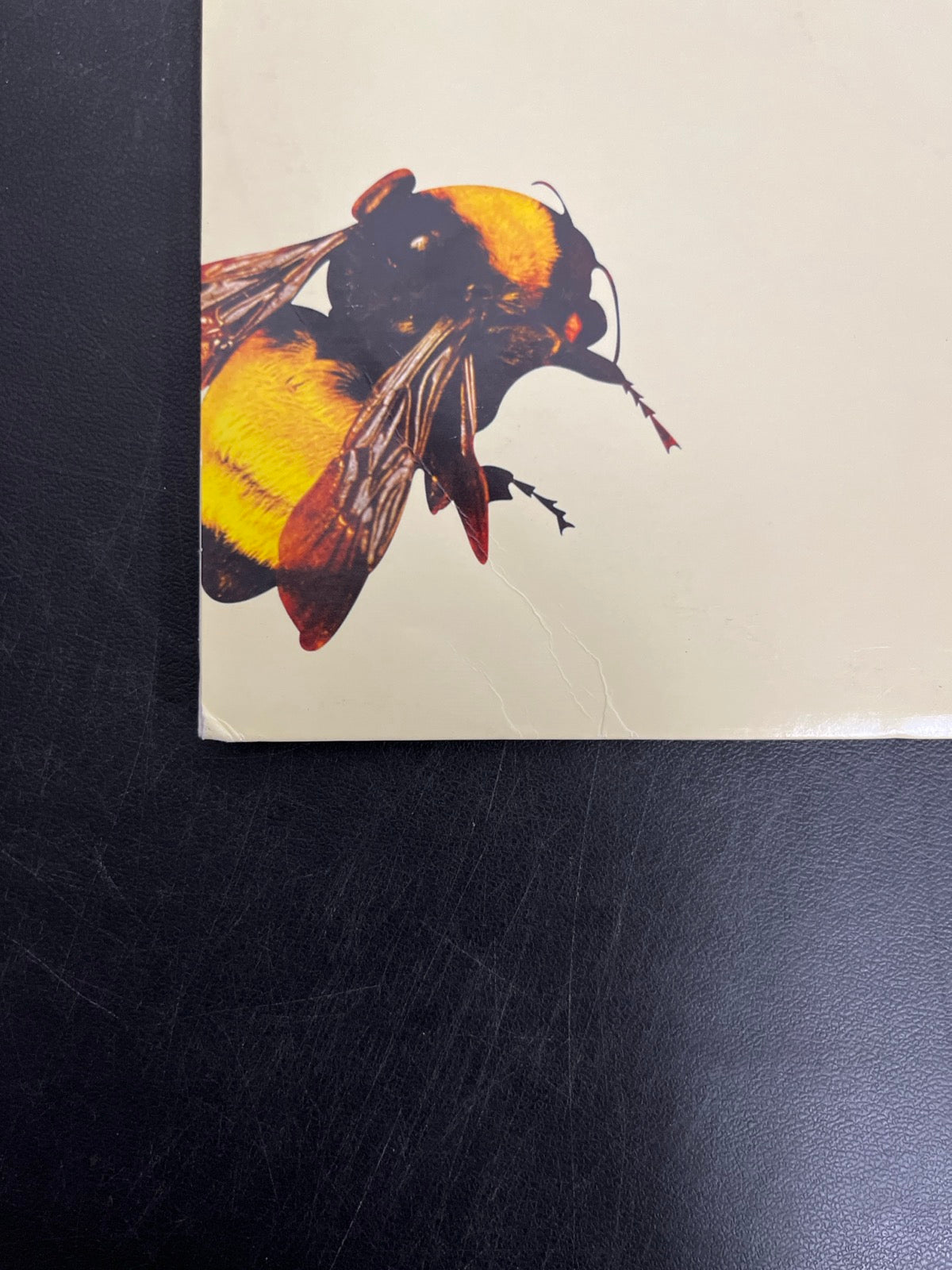 BACK_BL - Tyler, the Creator - Flower Boy LE Vinyl USED NOT TESTED