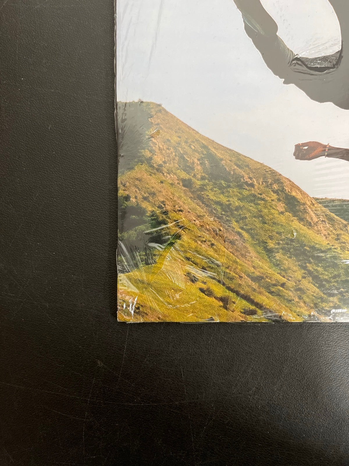 BACK_BL - Tyler, The Creator - Wolf LE Pink Vinyl USED NOT TESTED