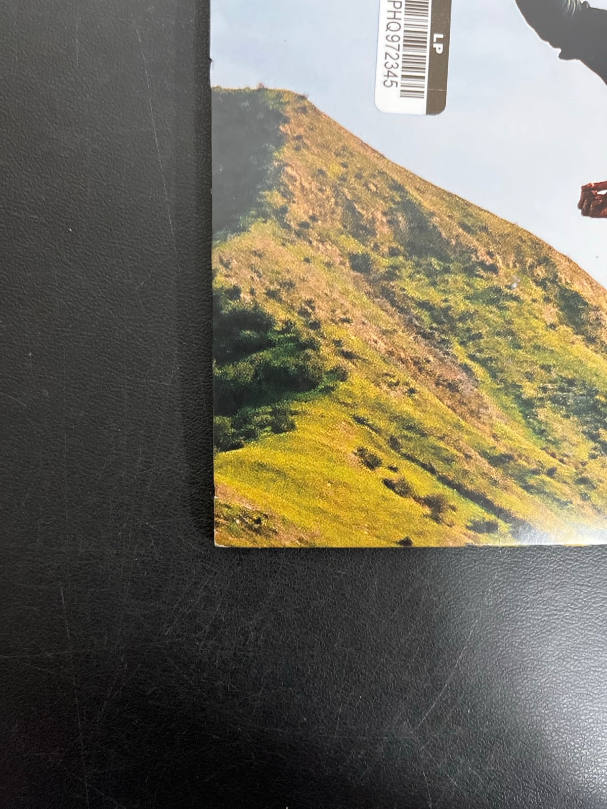 BACK_BL - Tyler, The Creator - Wolf LE Pink Vinyl USED NOT TESTED