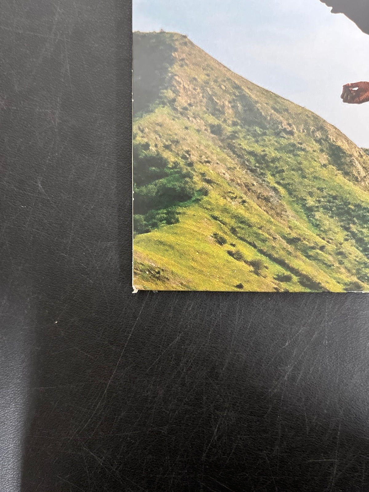 BACK_BL - Tyler, The Creator - Wolf LE Pink Vinyl USED NOT TESTED