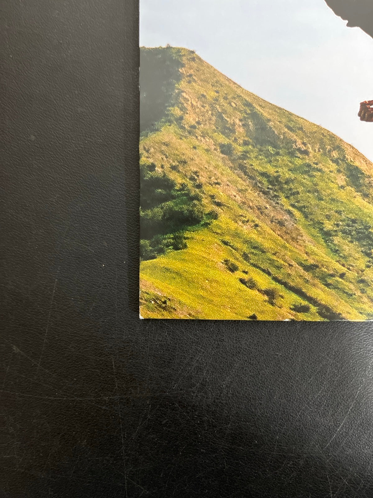 BACK_BL - Tyler, The Creator - Wolf LE Pink Vinyl USED NOT TESTED