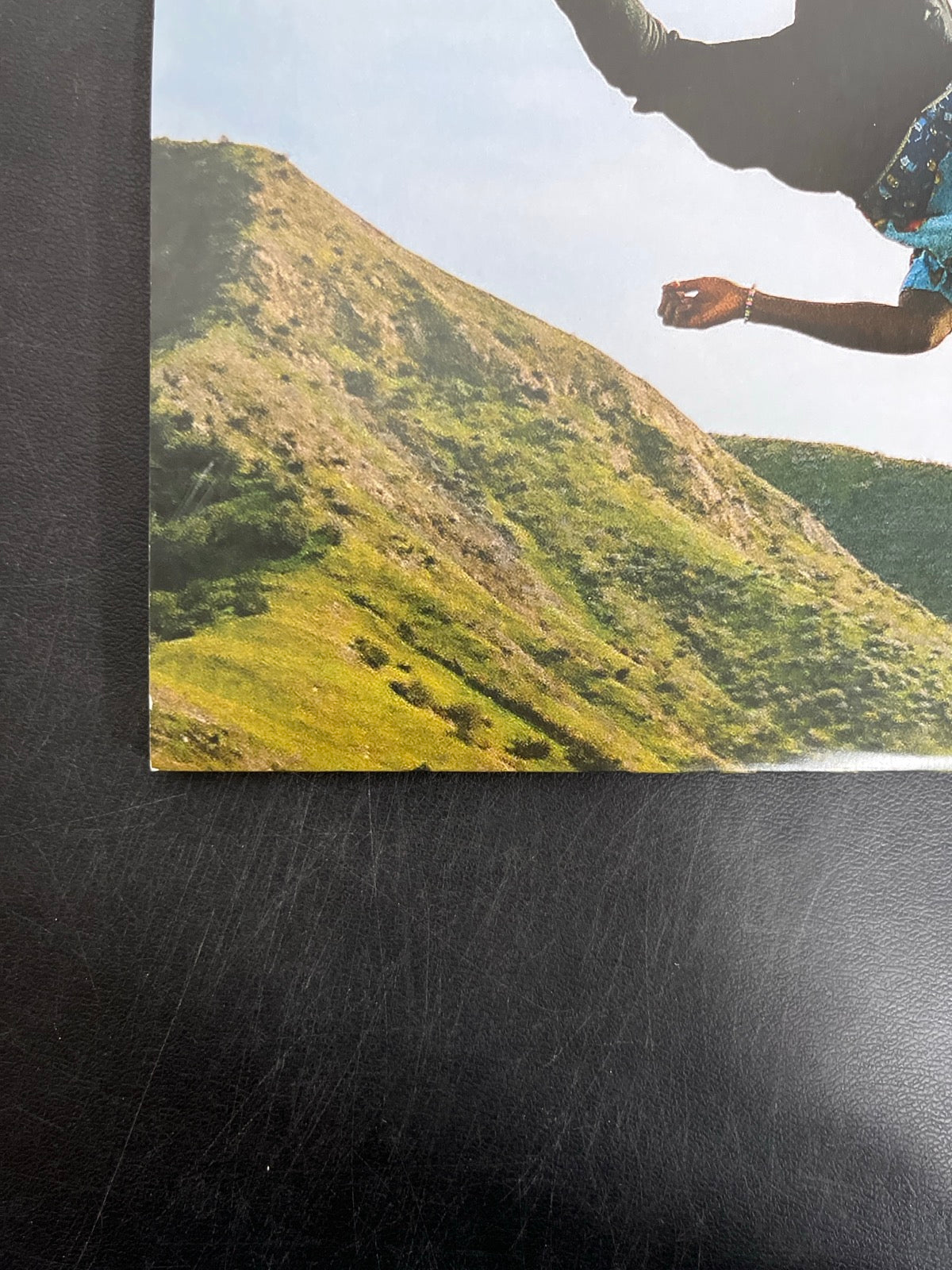 BACK_BL - Tyler, The Creator - Wolf LE Pink Vinyl USED NOT TESTED