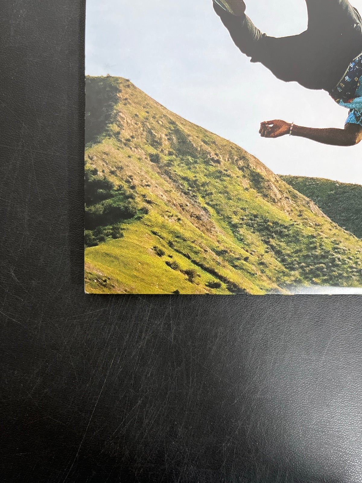 BACK_BL - Tyler, The Creator - Wolf LE Pink Vinyl USED NOT TESTED