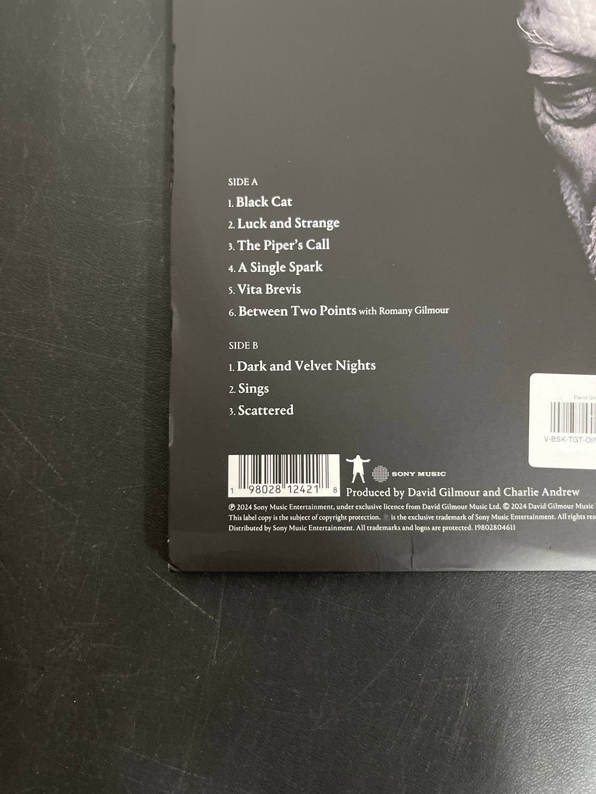 BACK_BL - David Gilmour - Luck and S... Target Exclusive Blue Vinyl USED NOT TESTED