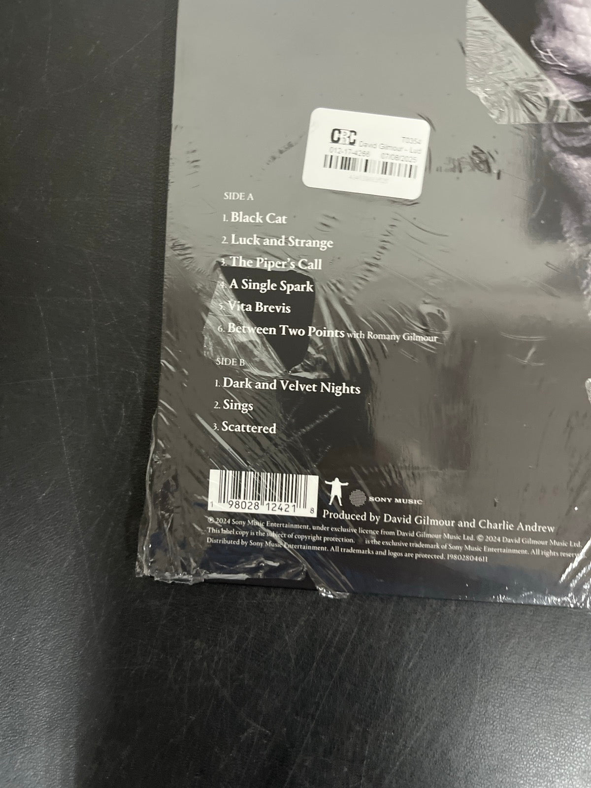 BACK_BL - David Gilmour - Luck and S... Target Exclusive Blue Vinyl USED NOT TESTED
