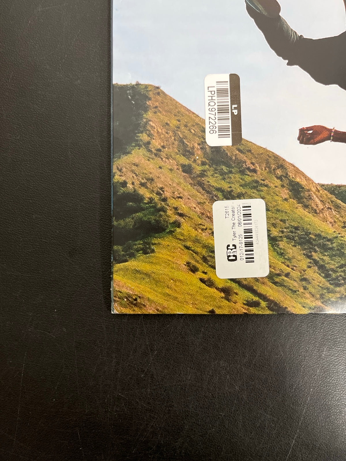 BACK_BL - Tyler, The Creator - Wolf LE Pink Vinyl USED NOT TESTED