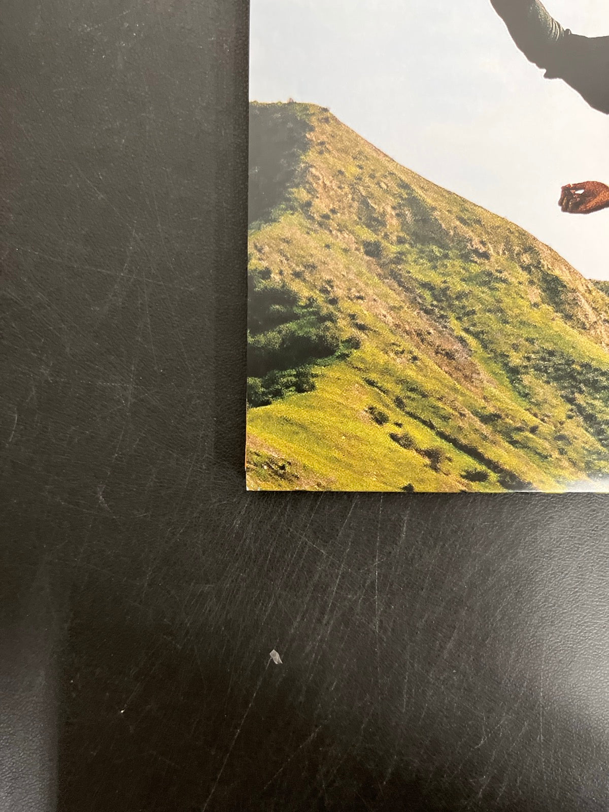 BACK_BL - Tyler, The Creator - Wolf LE Pink Vinyl USED NOT TESTED