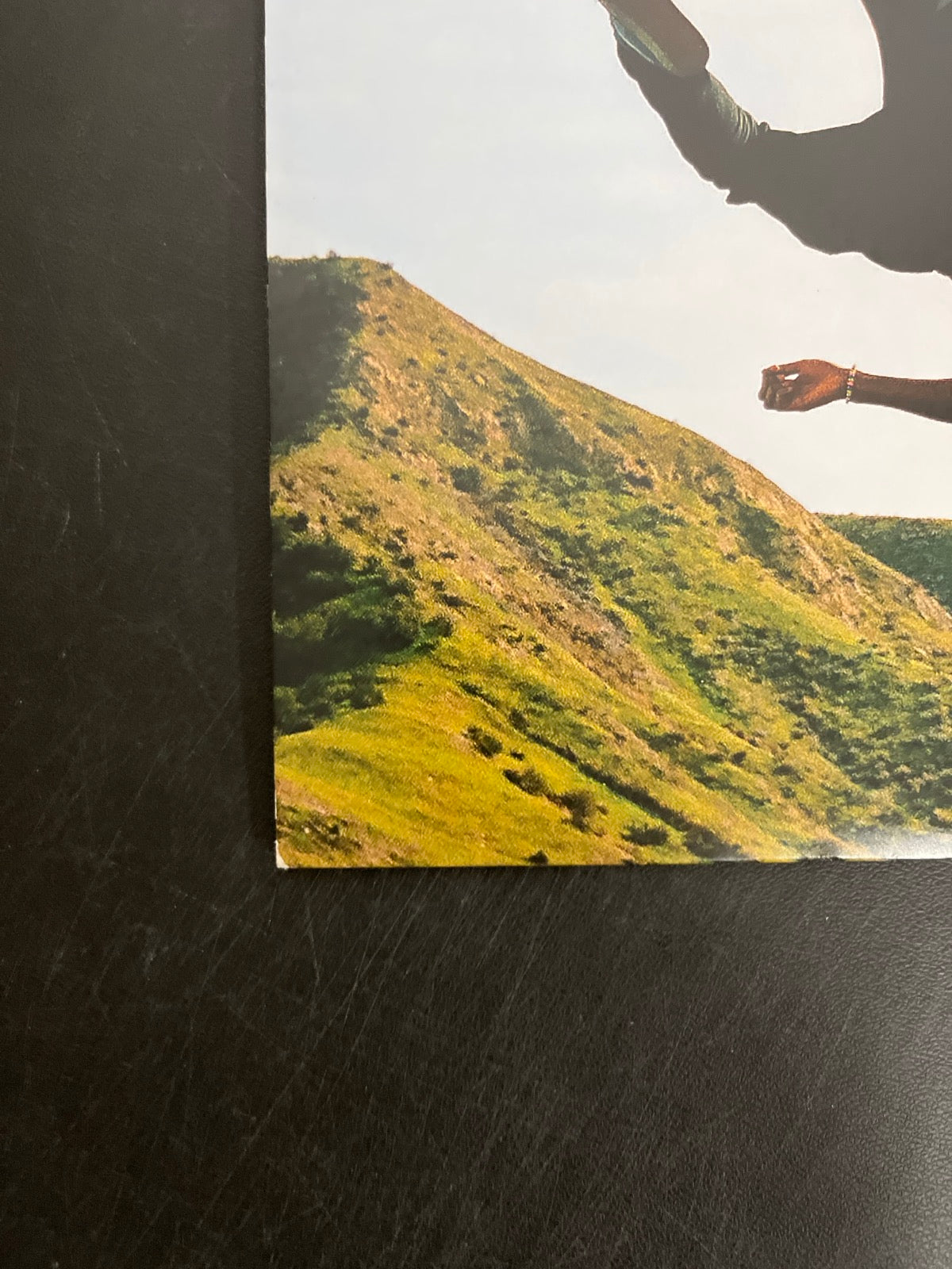 BACK_BL - Tyler, The Creator - Wolf LE Pink Vinyl USED NOT TESTED