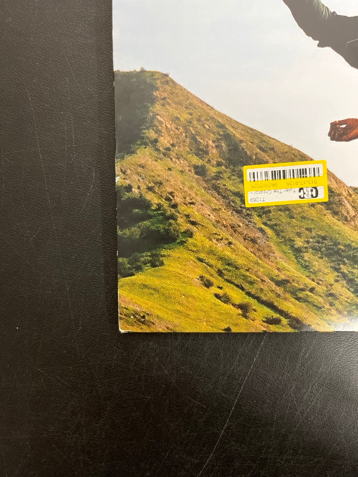BACK_BL - Tyler, The Creator - Wolf LE Pink Vinyl USED NOT TESTED