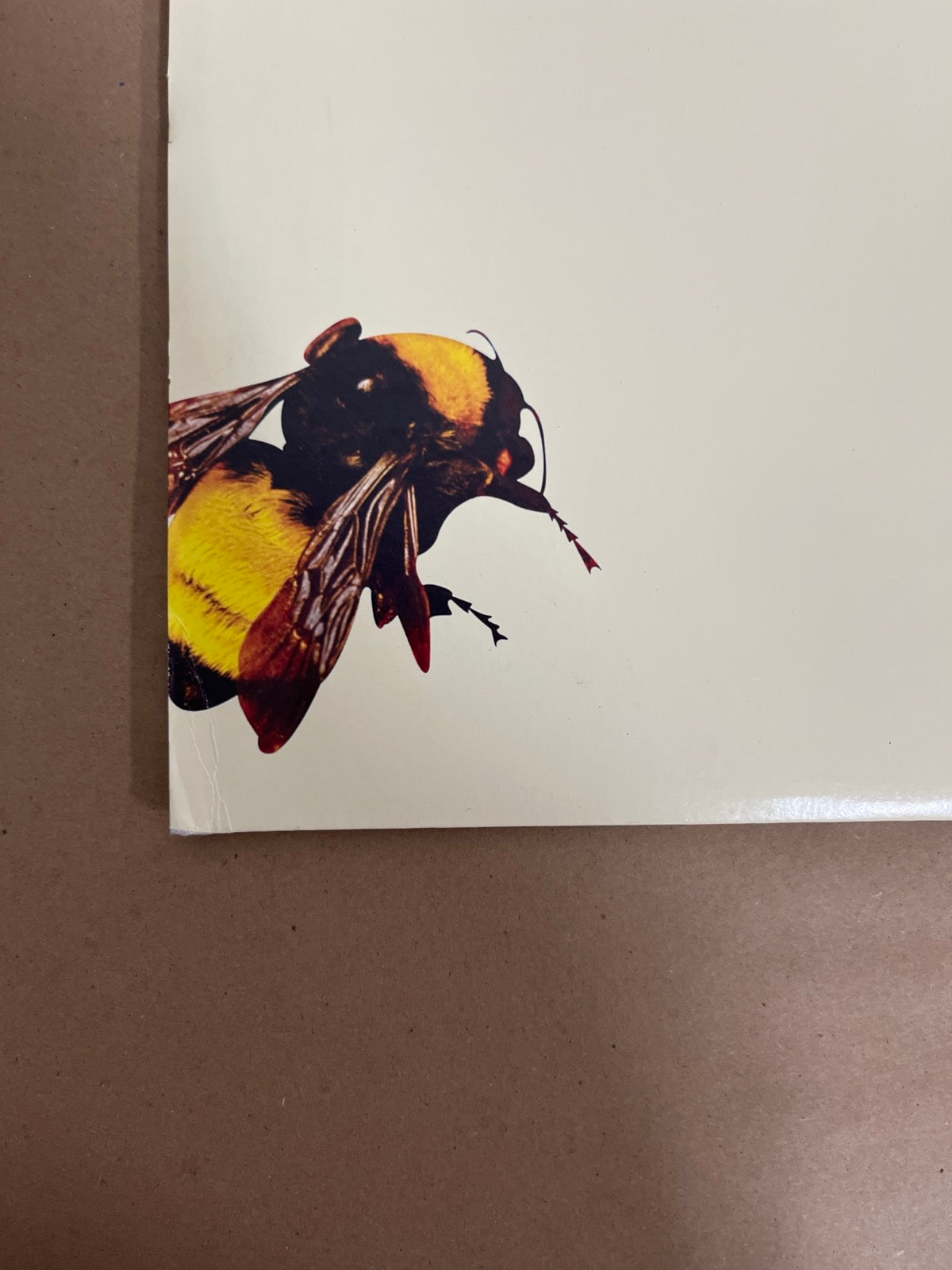BACK_BL - Tyler, the Creator - Flower Boy LE Vinyl USED NOT TESTED