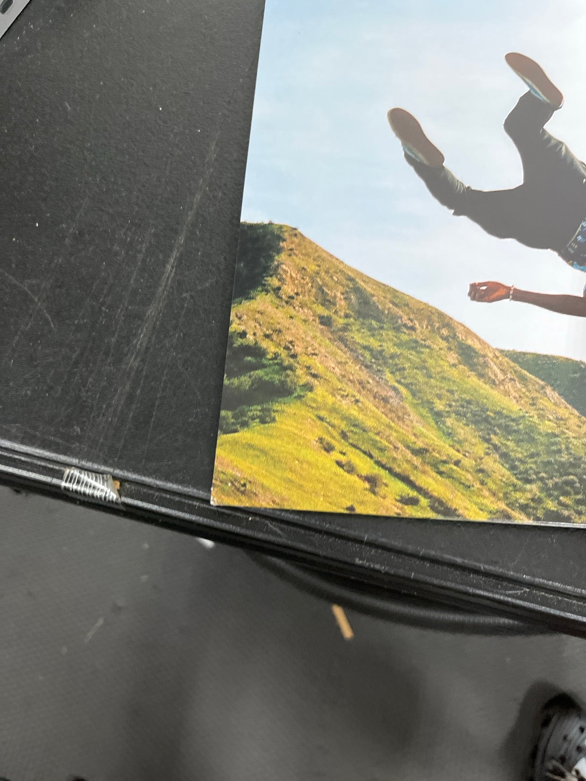 BACK_BL - Tyler, The Creator - Wolf LE Pink Vinyl USED NOT TESTED