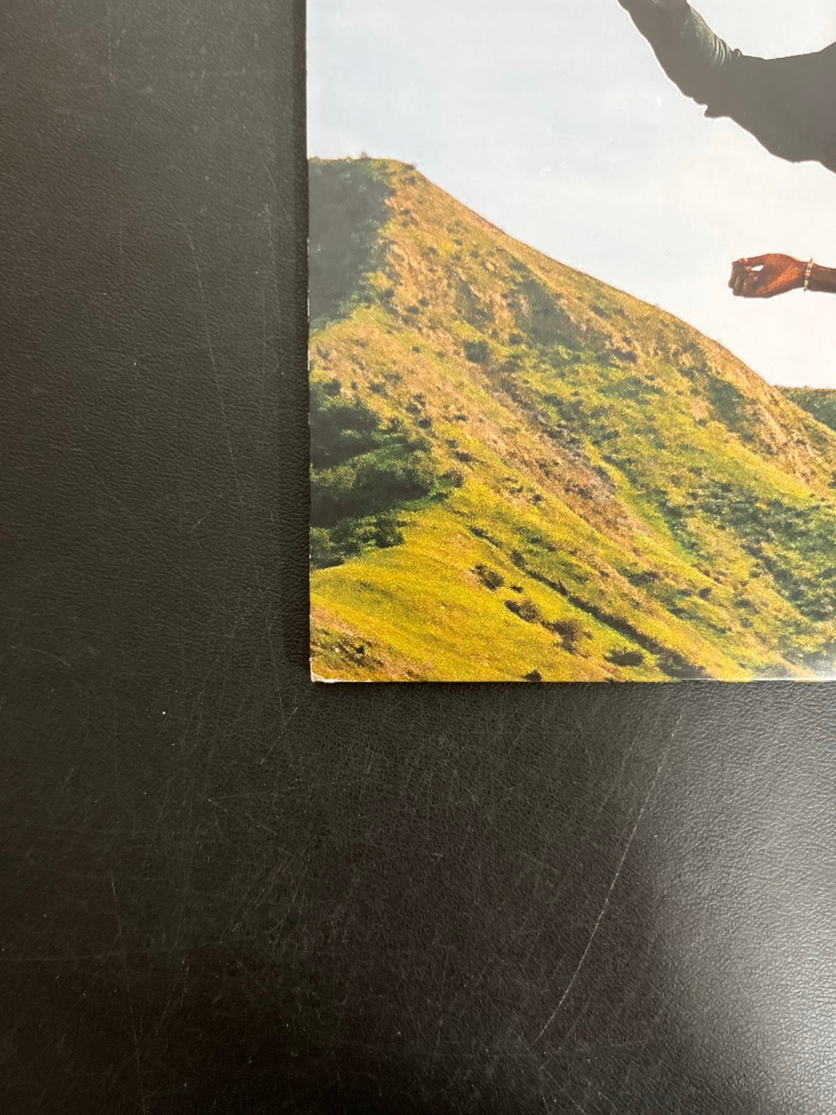 BACK_BL - Tyler, The Creator - Wolf LE Pink Vinyl USED NOT TESTED
