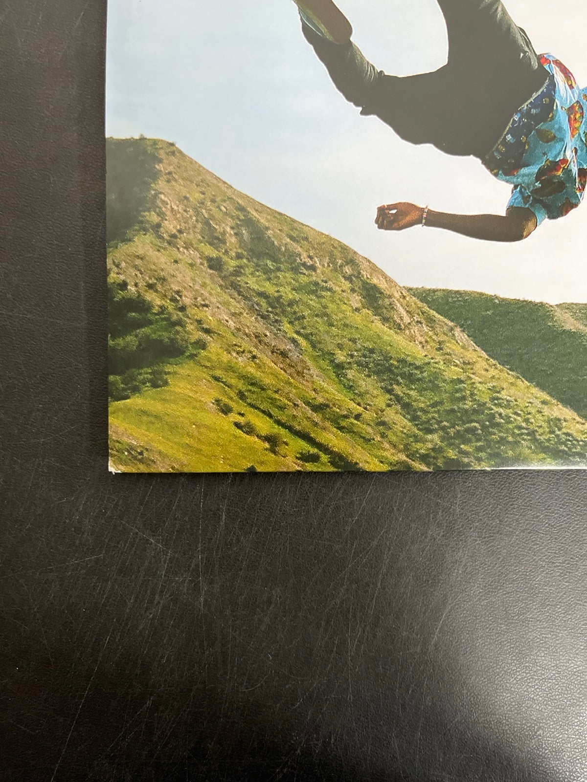 BACK_BL - Tyler, The Creator - Wolf LE Pink Vinyl USED NOT TESTED