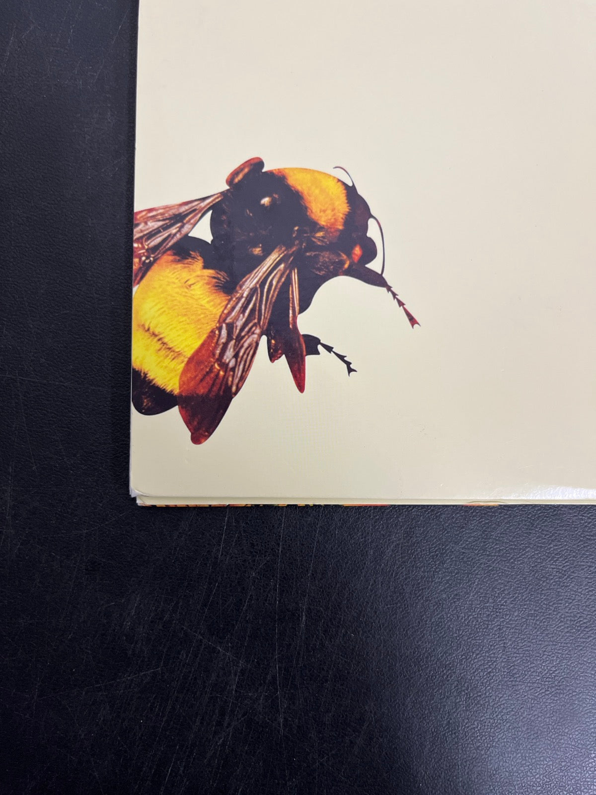 BACK_BL - Tyler, the Creator - Flower Boy LE Vinyl USED NOT TESTED