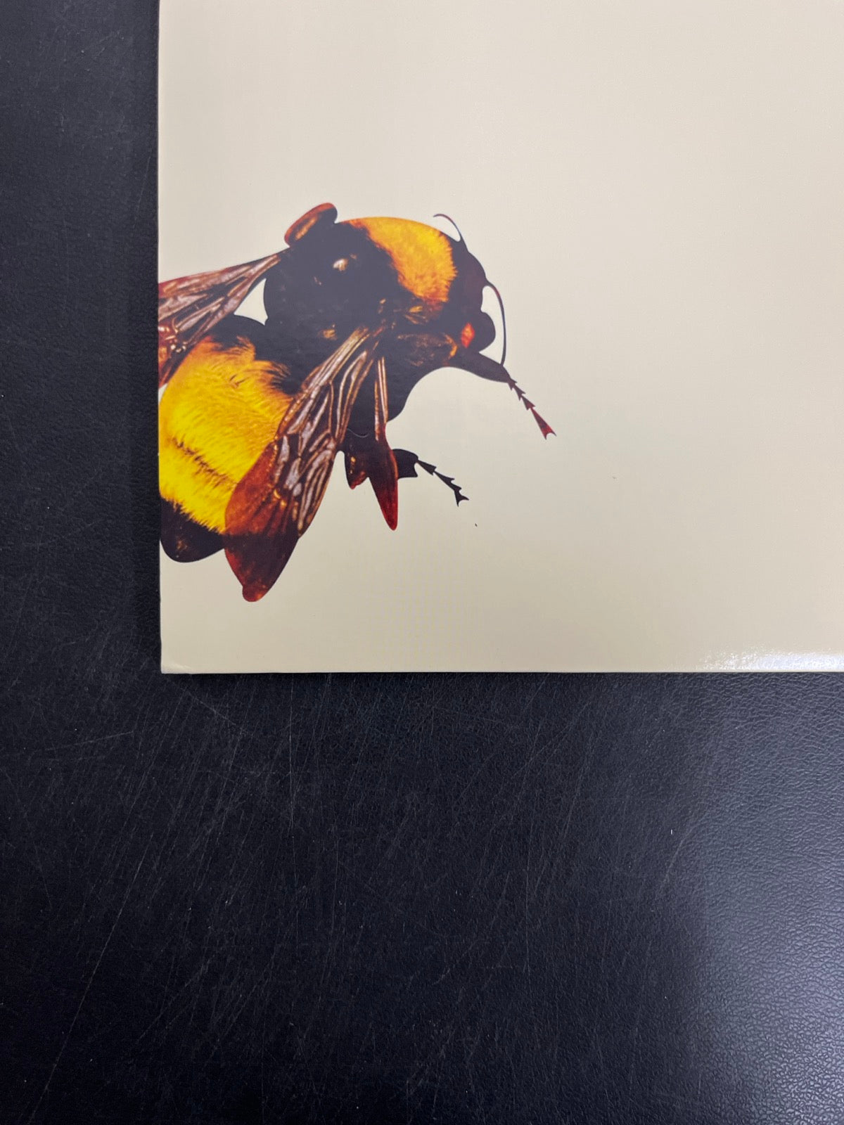 BACK_BL - Tyler, the Creator - Flower Boy LE Vinyl USED NOT TESTED