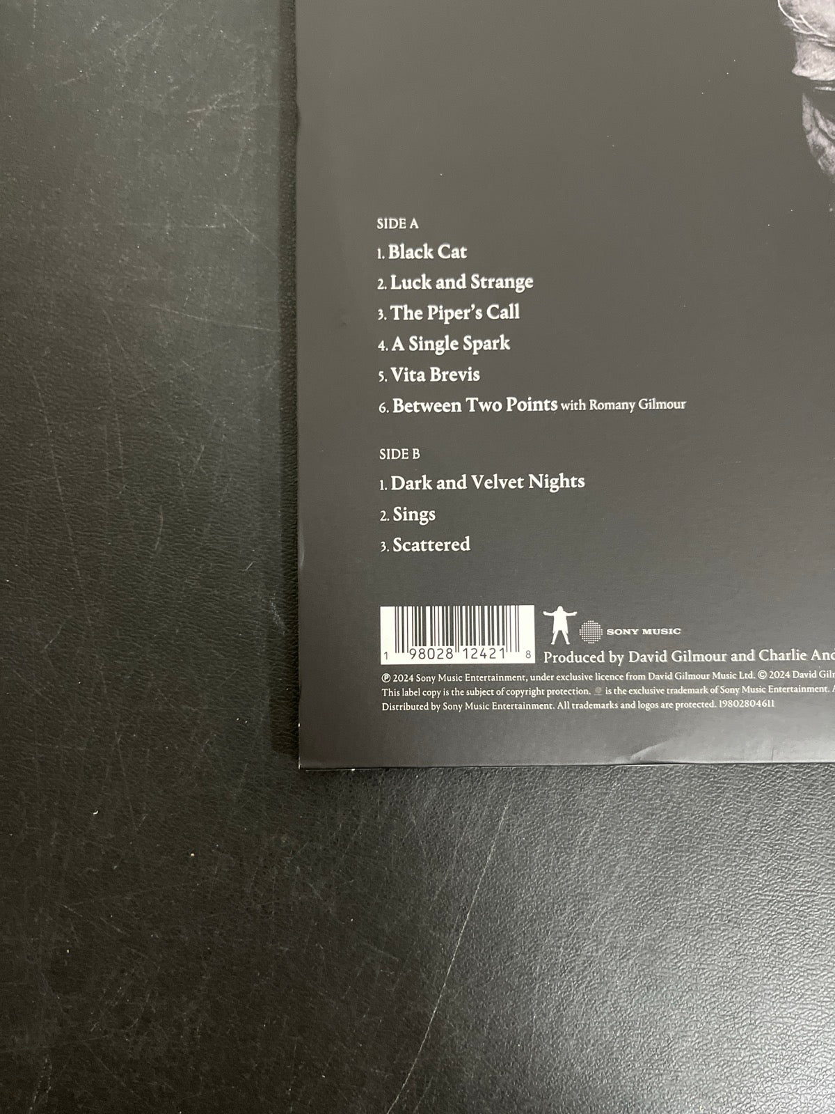 BACK_BL - David Gilmour - Luck and S... Target Exclusive Blue Vinyl USED NOT TESTED