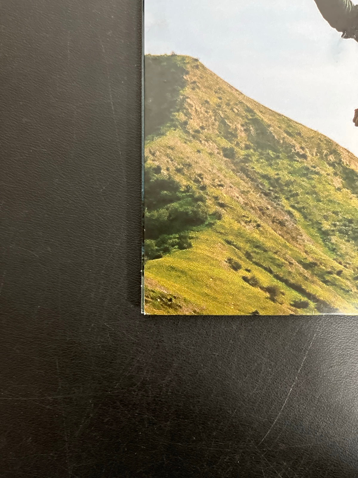 BACK_BL - Tyler, The Creator - Wolf LE Pink Vinyl USED NOT TESTED