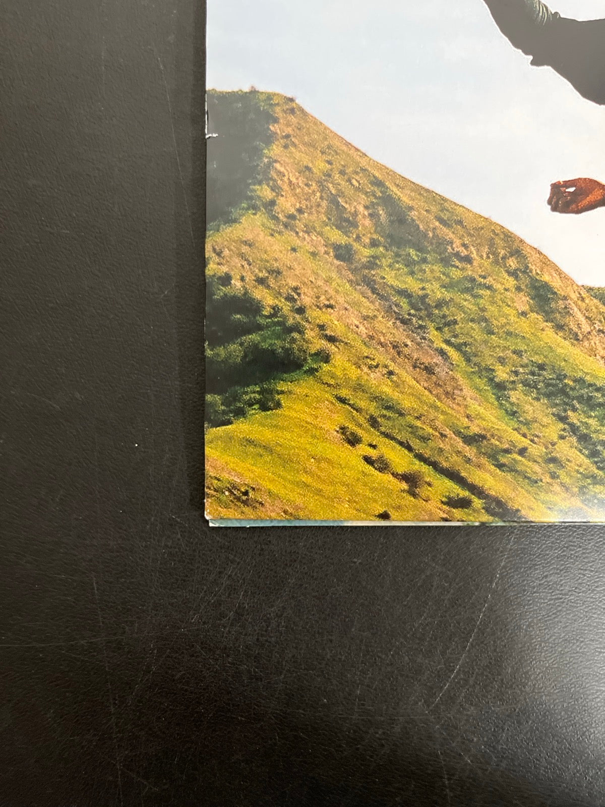 BACK_BL - Tyler, The Creator - Wolf LE Pink Vinyl USED NOT TESTED