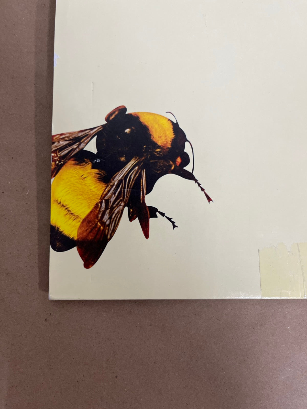 BACK_BL - Tyler, the Creator - Flower Boy LE Vinyl USED NOT TESTED