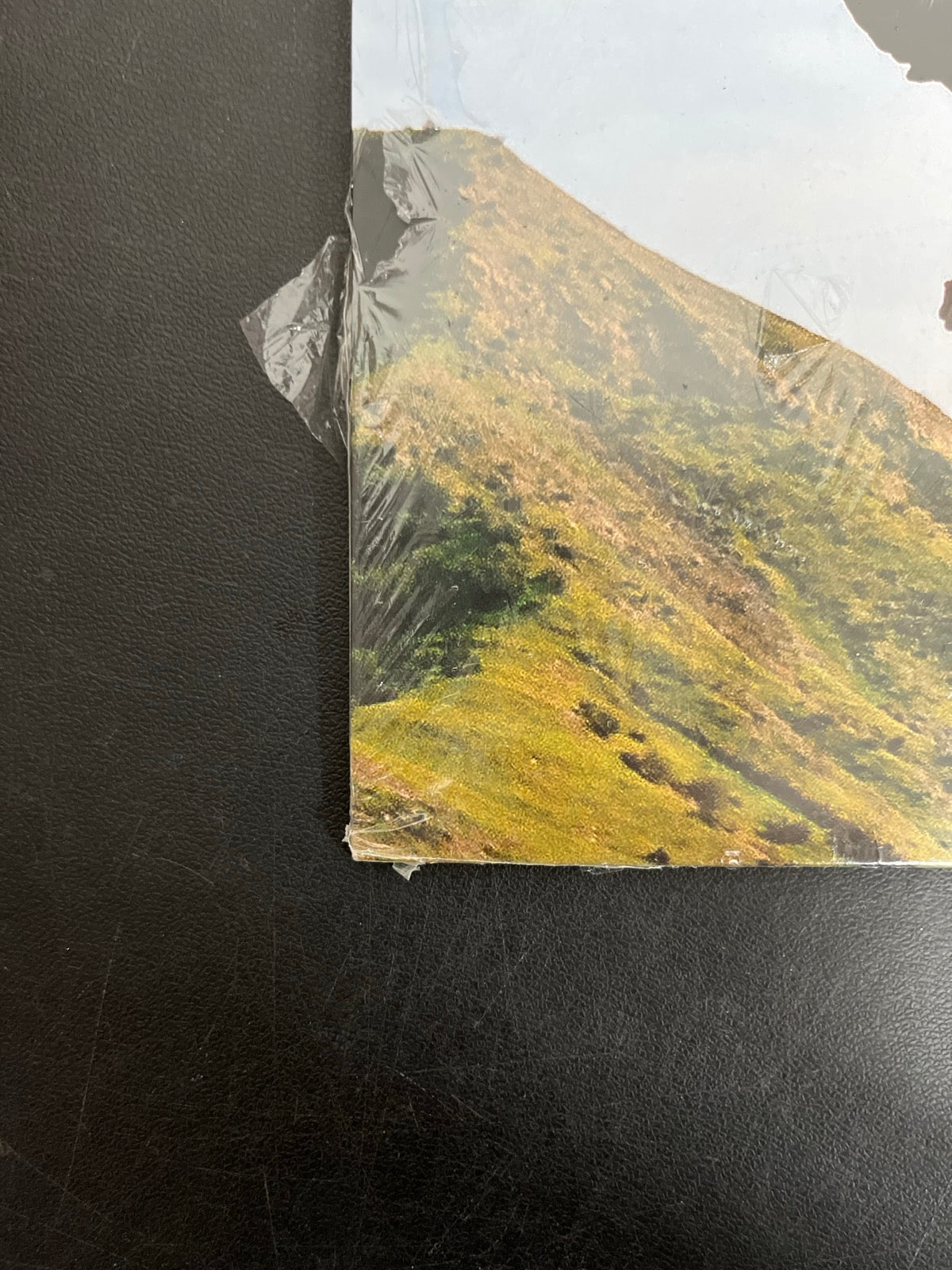 BACK_BL - Tyler, The Creator - Wolf LE Pink Vinyl USED NOT TESTED