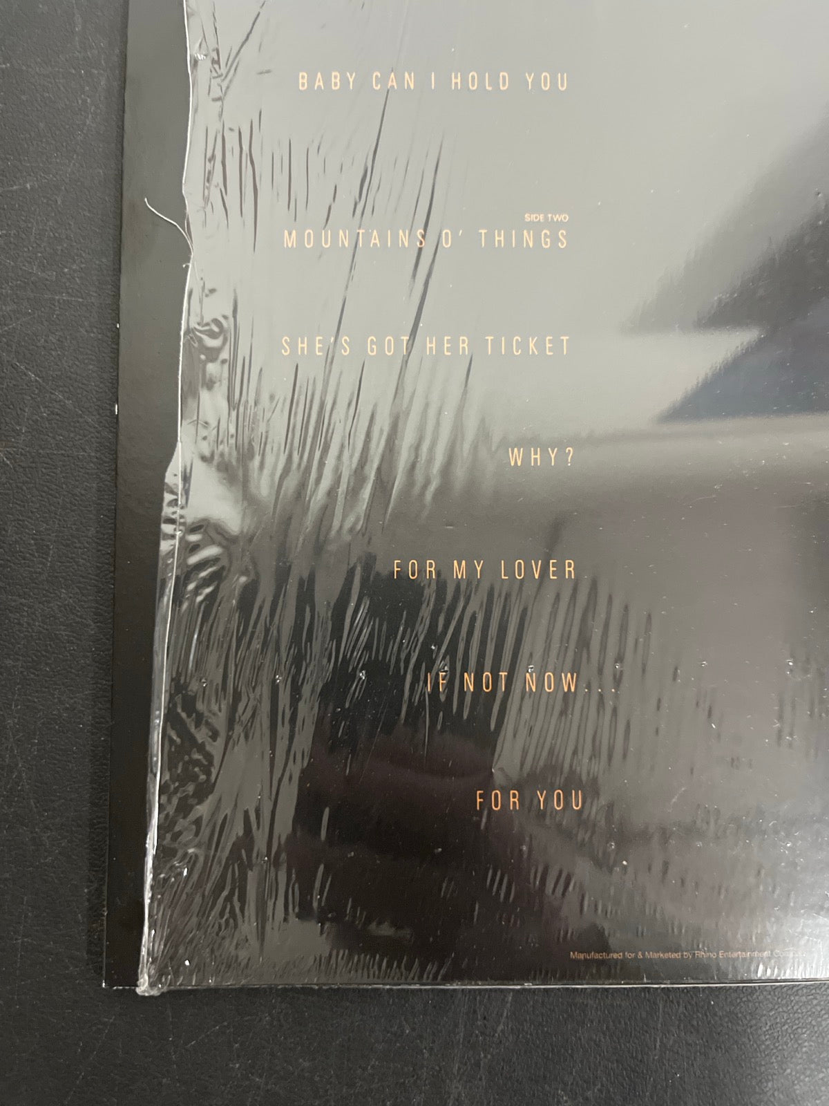 BACK_BL - Chapman - Tracy Chapman Reissue Etched 180 Gram Remastered Vinyl USED NOT TESTED