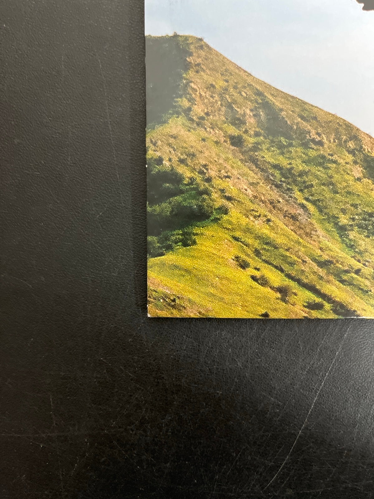 BACK_BL - Tyler, The Creator - Wolf LE Pink Vinyl USED NOT TESTED