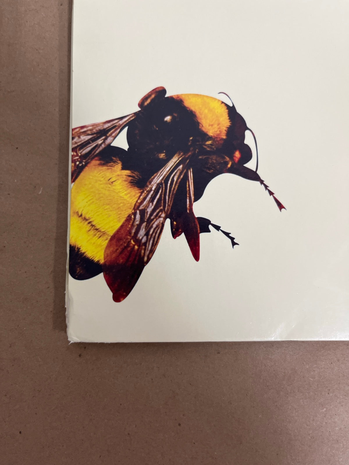 BACK_BL - Tyler, the Creator - Flower Boy LE Vinyl USED NOT TESTED