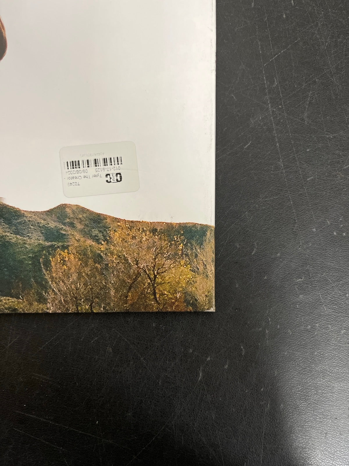 BACK_BR - Tyler, The Creator - Wolf LE Pink Vinyl USED NOT TESTED