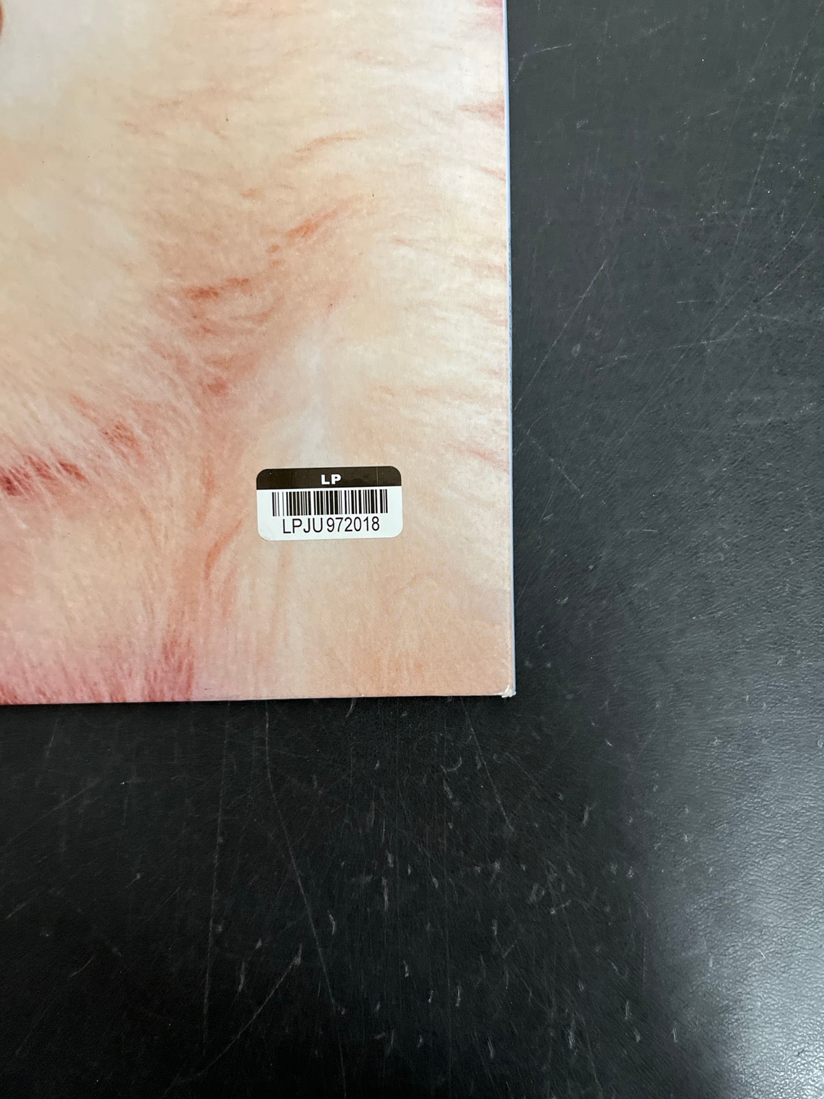 BACK_BR - Sabrina Carpenter - Man's Best Friend LE White Vinyl USED NOT TESTED
