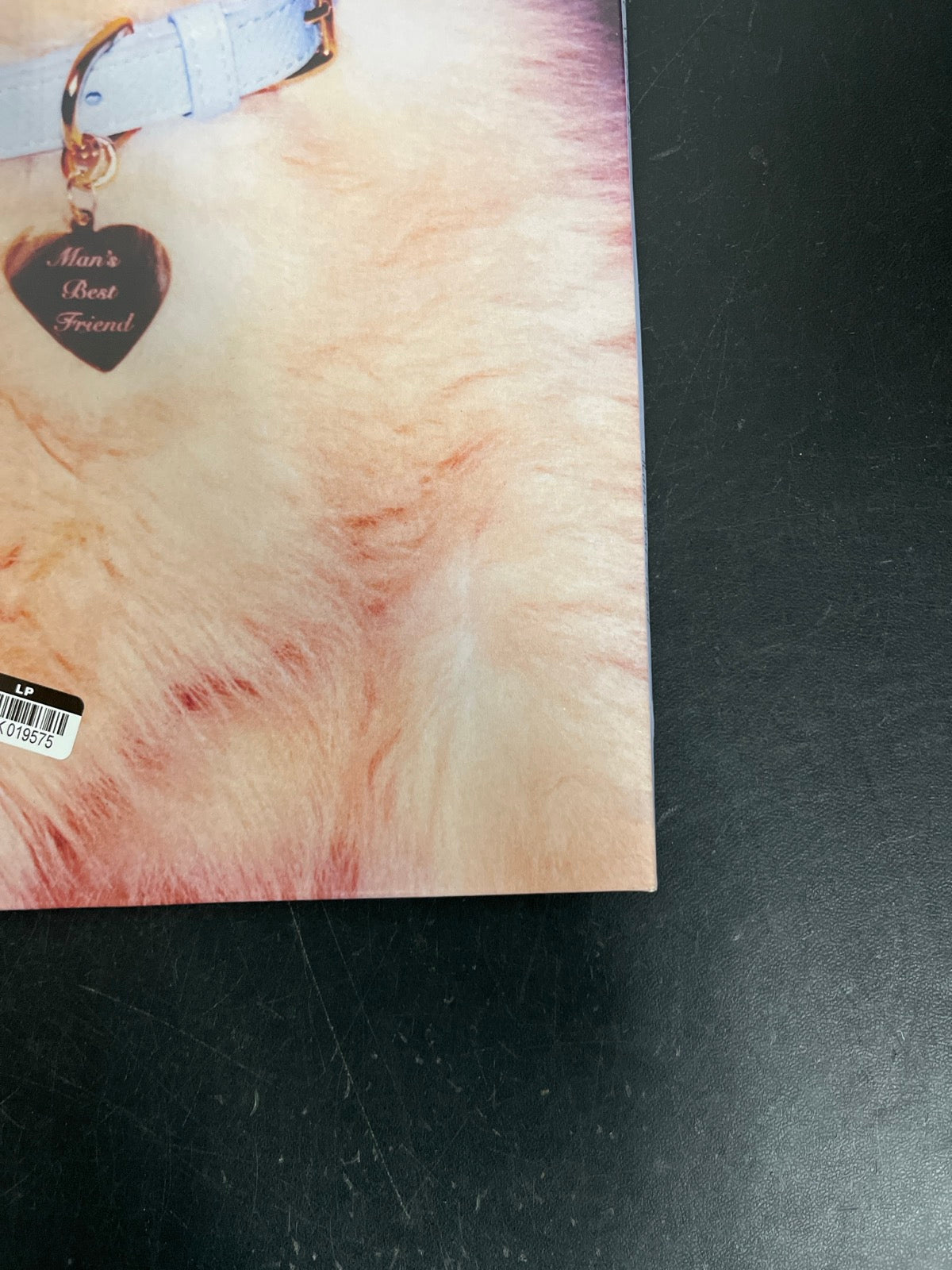 BACK_BR - Sabrina Carpenter - Man's Best Friend LE White Vinyl USED NOT TESTED